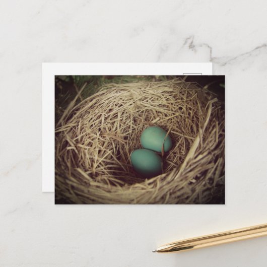 Robin Eggs in a Nest ポストカード (正面/裏面インサイチュ)