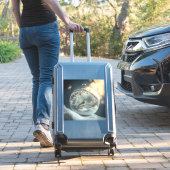 Robin in Globeビニールステッカー シール (スーツケースインサイチュ)