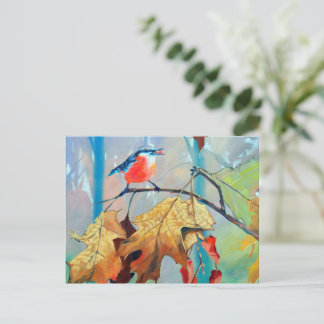 Robin Postcard ポストカード