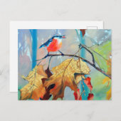 Robin Postcard ポストカード (正面/裏面)