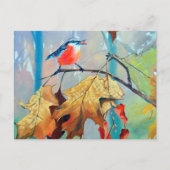 Robin Postcard ポストカード (正面)