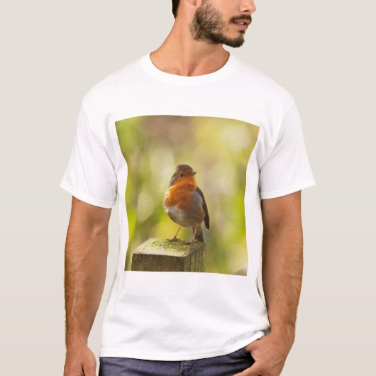 Robin red breast bird tシャツ (正面)