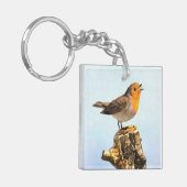 Robin singing  キーホルダー (正面左)
