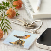 Robin singing  キーホルダー (正面右)