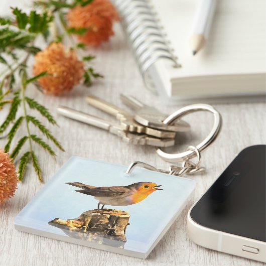 Robin singing  キーホルダー (正面右)