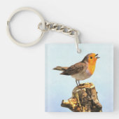 Robin singing  キーホルダー (正面)