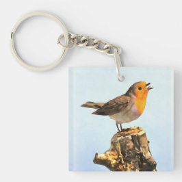 Robin singing  キーホルダー