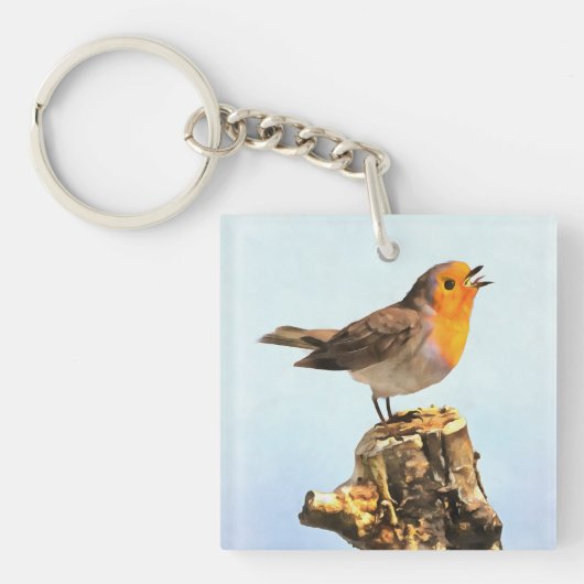 Robin singing  キーホルダー (正面)