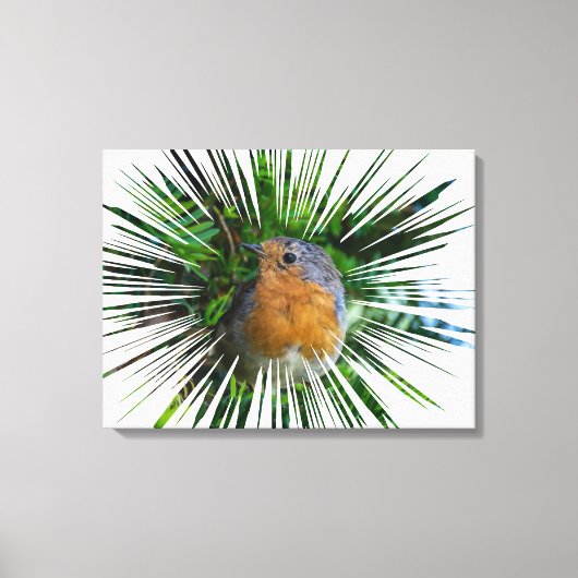 Robin up close canvas print キャンバスプリント (正面)