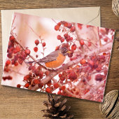 Robin With Red Berry Note Card カード