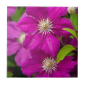 Robinette's Apple Haus and Gift Barn 2の花 タイル (正面)