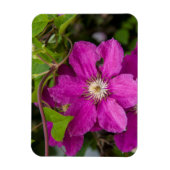 Robinette's Apple Haus & Gift Barnの花 マグネット (縦)