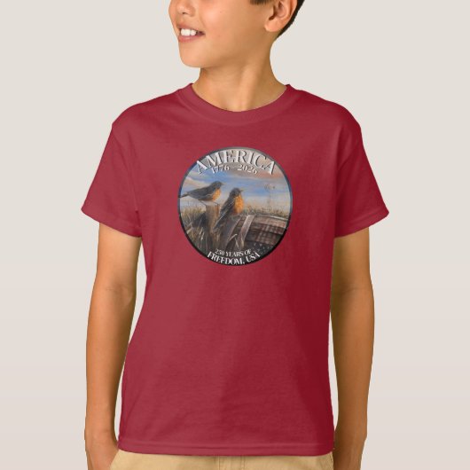 Robins 250 USA Tシャツ (正面)