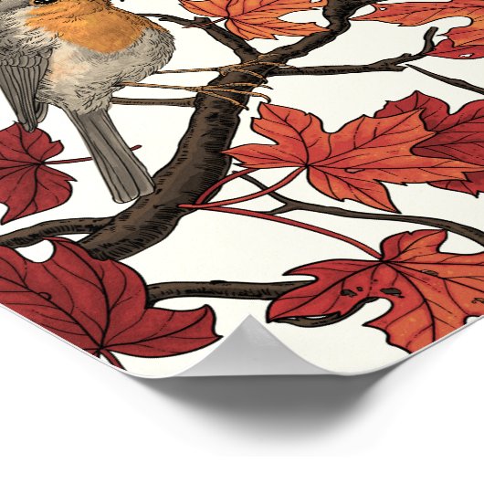 Robins in maple tree on off white ポスター (角)