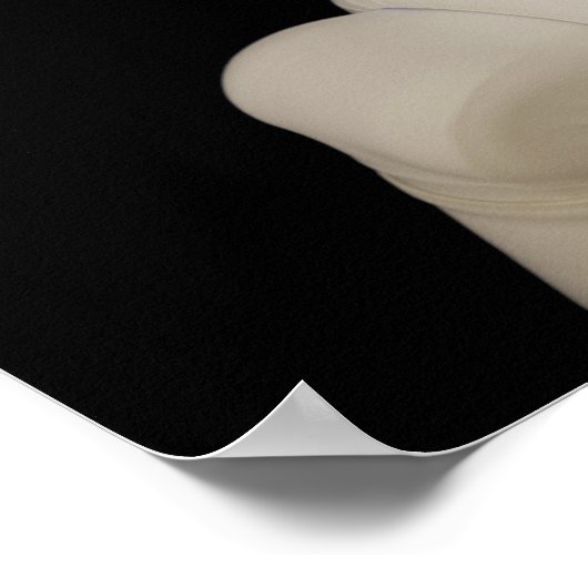 Robonaut 2, a dexterous, humanoid宇宙飛行士4 hel ポスター (角)