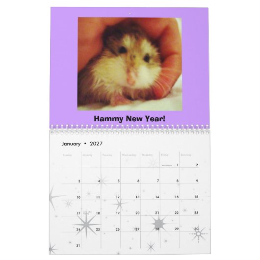 Roborovski 2011のカレンダー カレンダー (1月 2027)