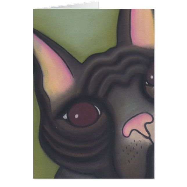 Robyn Feeley著Frenchie (正面)