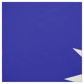 ROC台湾-台湾の旗-中華民國國旗-青天白日滿地紅 ファブリック (見本)