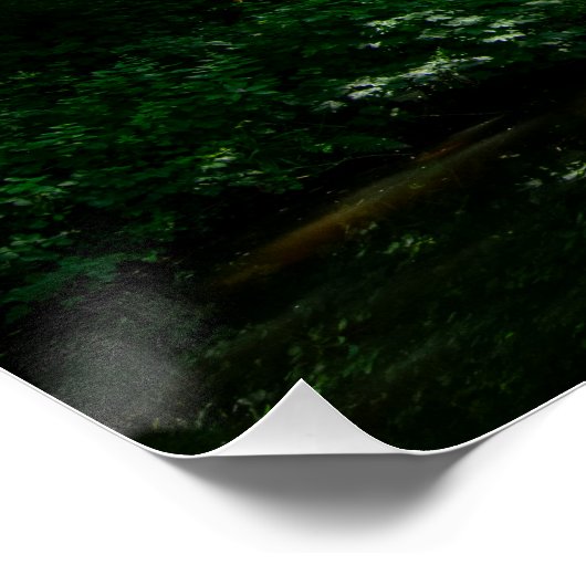 Rochdale Canal, Sowerby Bridge ポスター (コーナー)