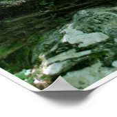 Rock and Tree by Johannes Stötter ポスター (角)