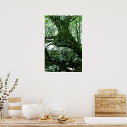 Rock and Tree by Johannes Stötter ポスター (キッチン)