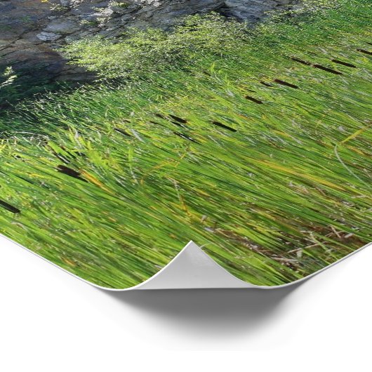 Rock Cliff Wall Cattails Pond Nature ポスター (角)