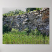 Rock Cliff Wall Cattails Pond Nature ポスター (正面)