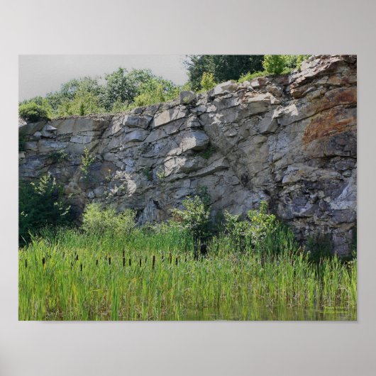 Rock Cliff Wall Cattails Pond Nature ポスター (正面)
