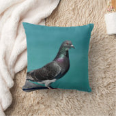 Rock Pigeon クッション (ブランケット)