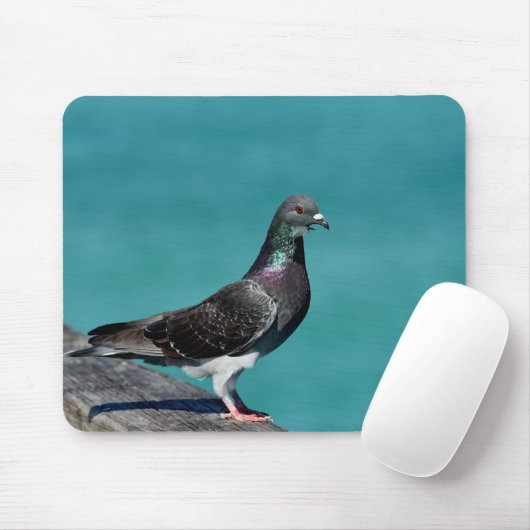 Rock Pigeon マウスパッド (マウス)