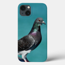 Rock Pigeon iPhoneケース iPhone 13ケース