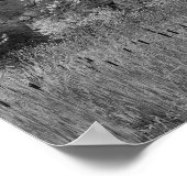 Rock Quarry Wall Cattails 2 Black And White ポスター (角)
