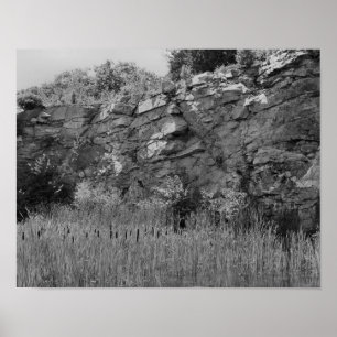 Rock Quarry Wall Cattails 2 Black And White ポスター