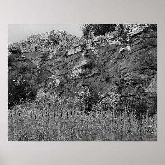 Rock Quarry Wall Cattails 2 Black And White ポスター (正面)