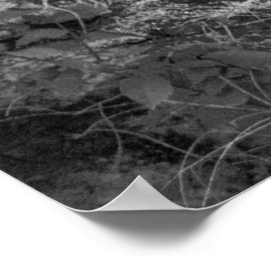 Rock Wall ポスター (角)