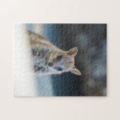 Rock Wallaby Joey Portrait – Australian Wildlife  ジグソーパズル (横)