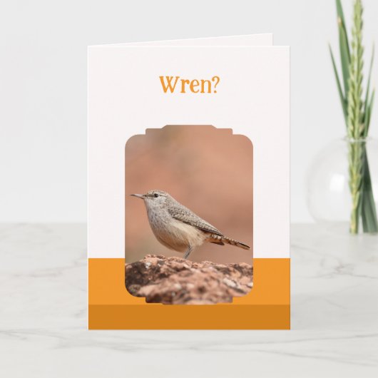 Rock Wren Folded Birthday Card カード (正面)