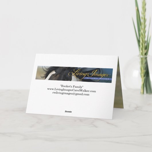 Rocket's Family Greeting Card 招待状 (裏面)