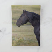 Rocket's Family Greeting Card 招待状 (内部)