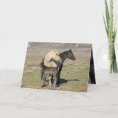 Rocket's Family Greeting Card 招待状 (正面)