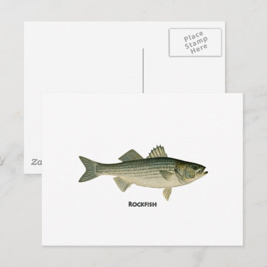 Rockfishロゴ ポストカード (正面/裏面)