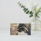 Rockhopperのペンギンの名刺 名刺 (スタンド正面)