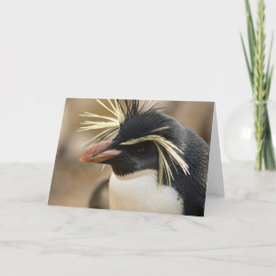 Rockhopperのペンギンの挨拶状 カード