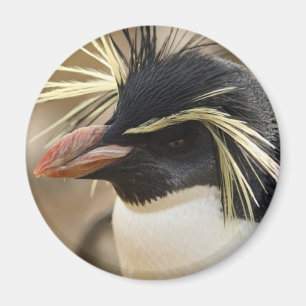 Rockhopperのペンギンの磁石 マグネット