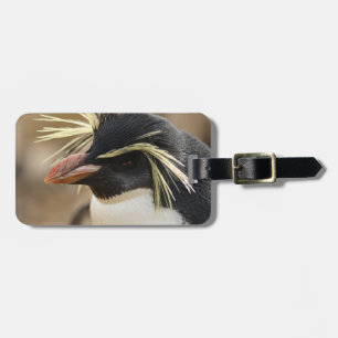 Rockhopperのペンギンの荷物のラベル ラゲッジタグ