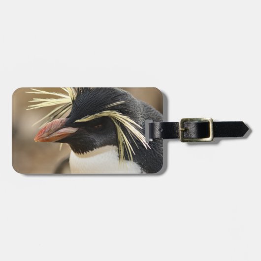 Rockhopperのペンギンの荷物のラベル ラゲッジタグ (正面横)