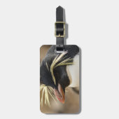 Rockhopperのペンギンの荷物のラベル ラゲッジタグ (正面縦)