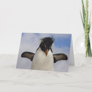 RockhopperのペンギンのEudyptesのchrysocome カード