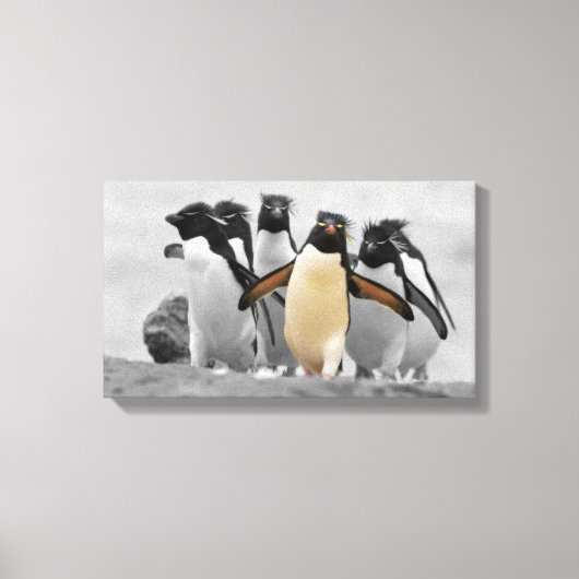 Rockhopperのペンギン キャンバスプリント (正面)