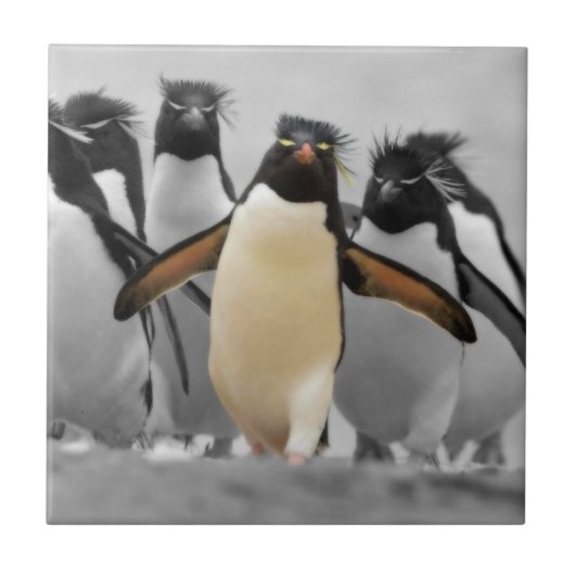 Rockhopperのペンギン タイル (正面)